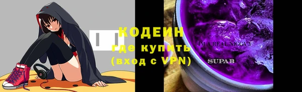 соль ск Тавда
