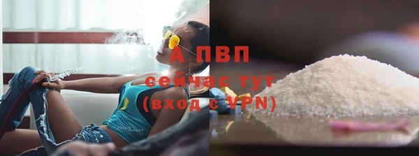 соль ск Тавда