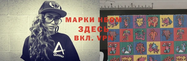соль ск Тавда