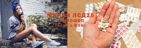прущие крисы Тайга