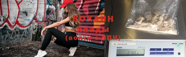 соль ск Тавда